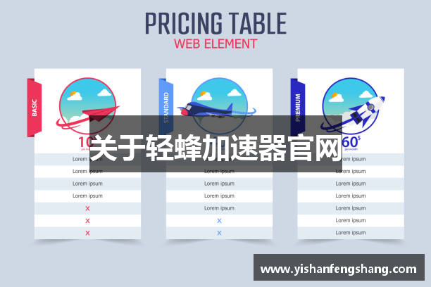 关于轻蜂加速器官网